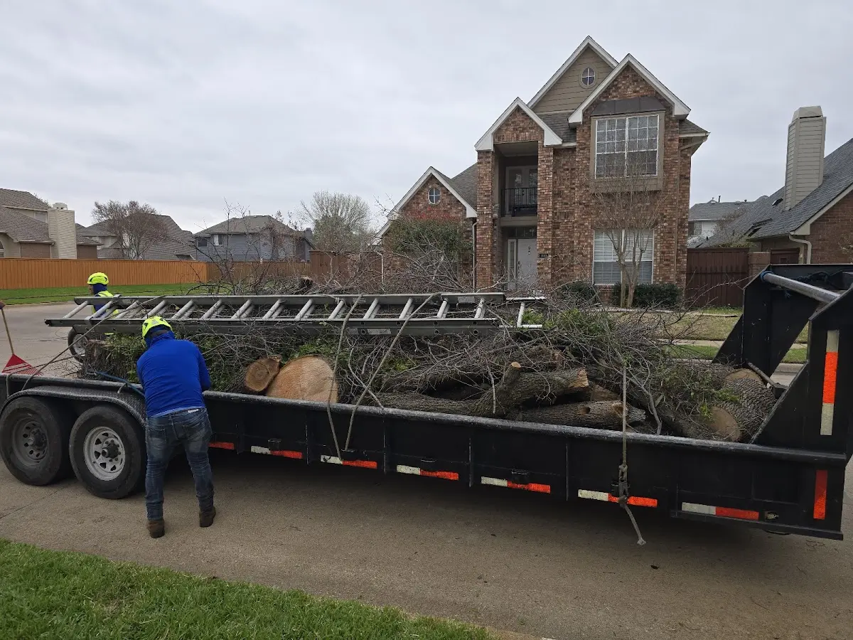 Expert Tree Fertilization with proper safety equipment in Zwolle